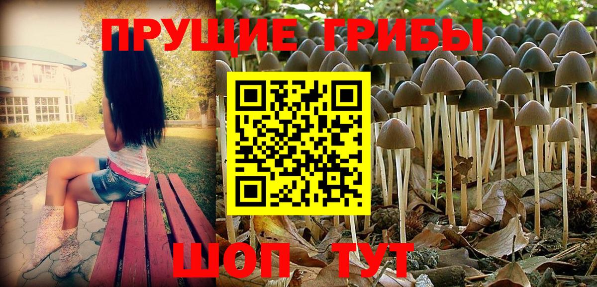 Майский  Галлюциногенные грибы Psilocybe  продажа наркотиков  Вход с VPN 